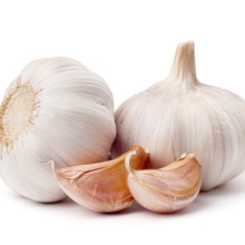 2020 New Crop Fresh Garlic from China Manufacturer